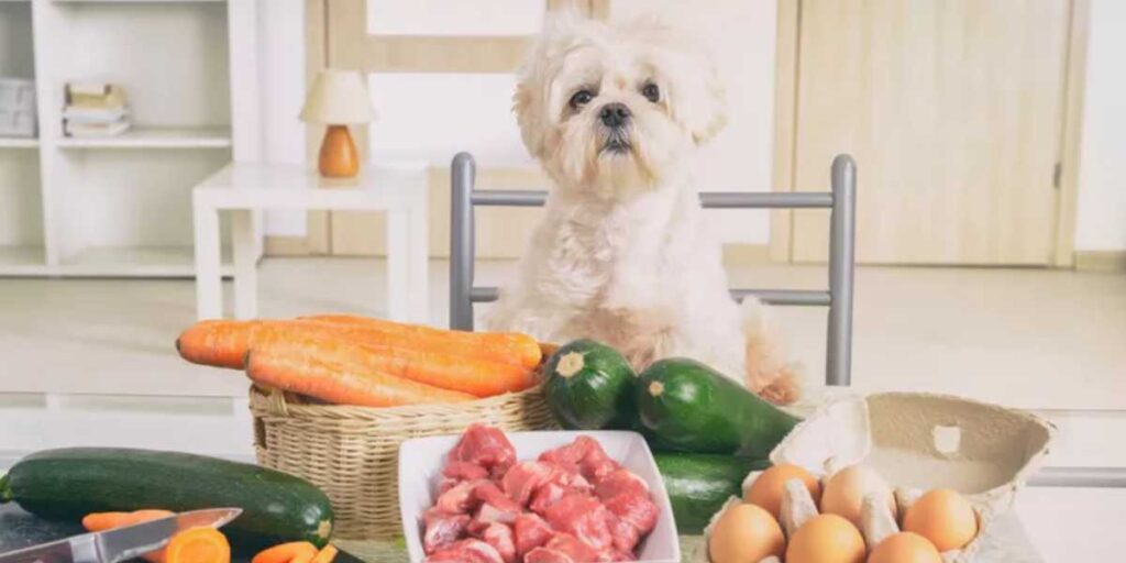 Cambiare alimentazione a cani e gatti