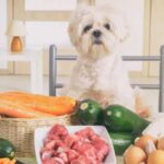 Cambiare alimentazione a cani e gatti