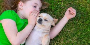 Comunicare con il cane