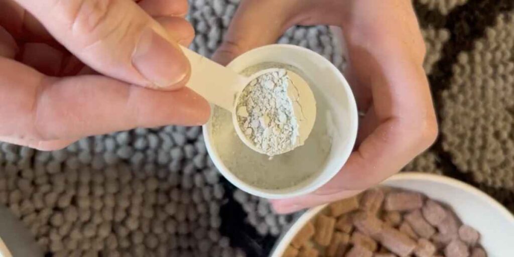 Zeolite per cani e gatti