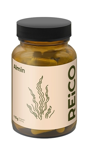 REiCO Almin